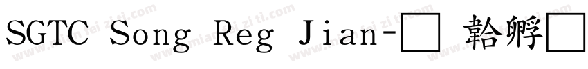 SGTC Song Reg Jian字体转换